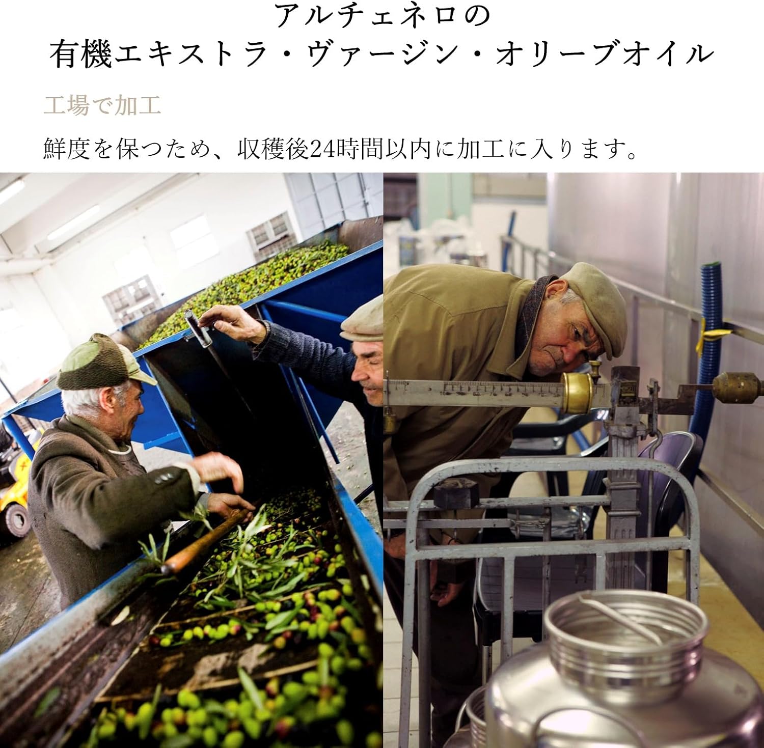 ALCE NERO 有機エキストラバージンオリーブオイル ドルチェ 500ml