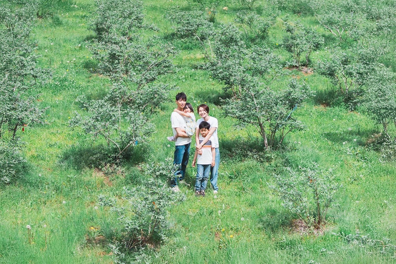 Farm SUZUKI 農薬不使用ブルーベリージャム 310g