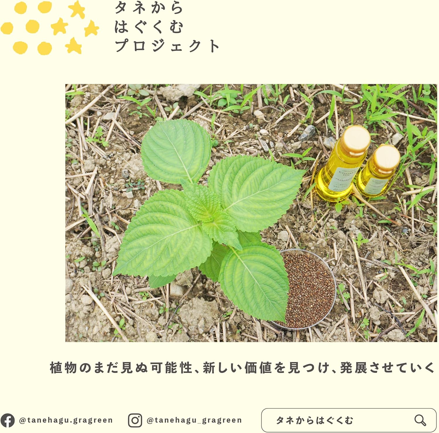 純国産エゴマ油 100g