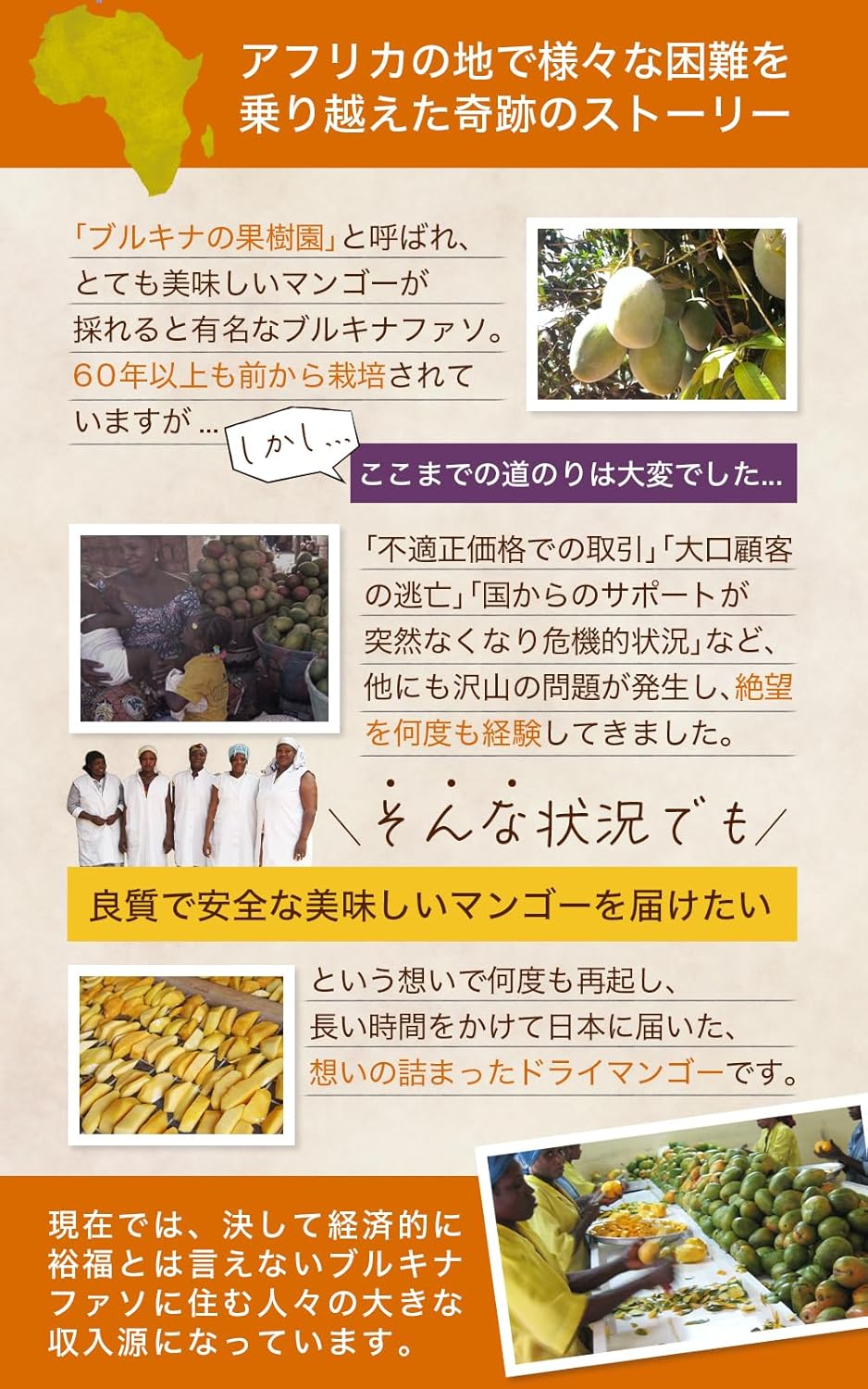 喜保屋 有機ドライマンゴー 160g