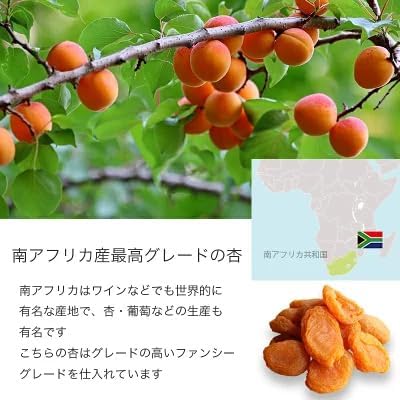 小島屋 ドライアプリコット 1kg