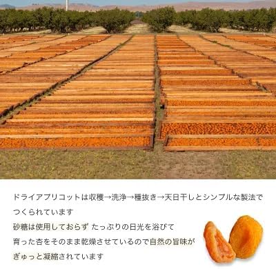 小島屋 ドライアプリコット 1kg