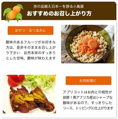 小島屋 ドライアプリコット 1kg