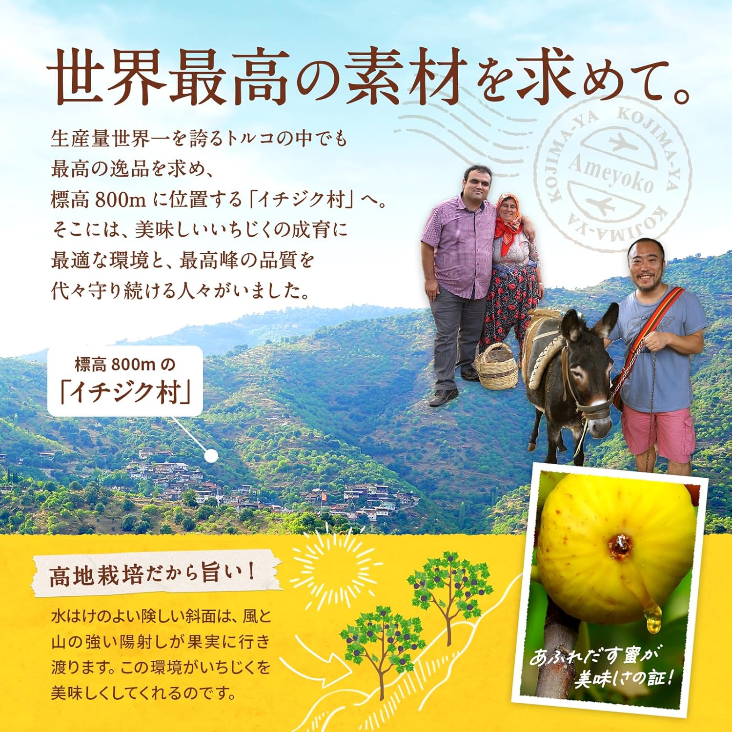 小島屋 ドライいちじく 780g