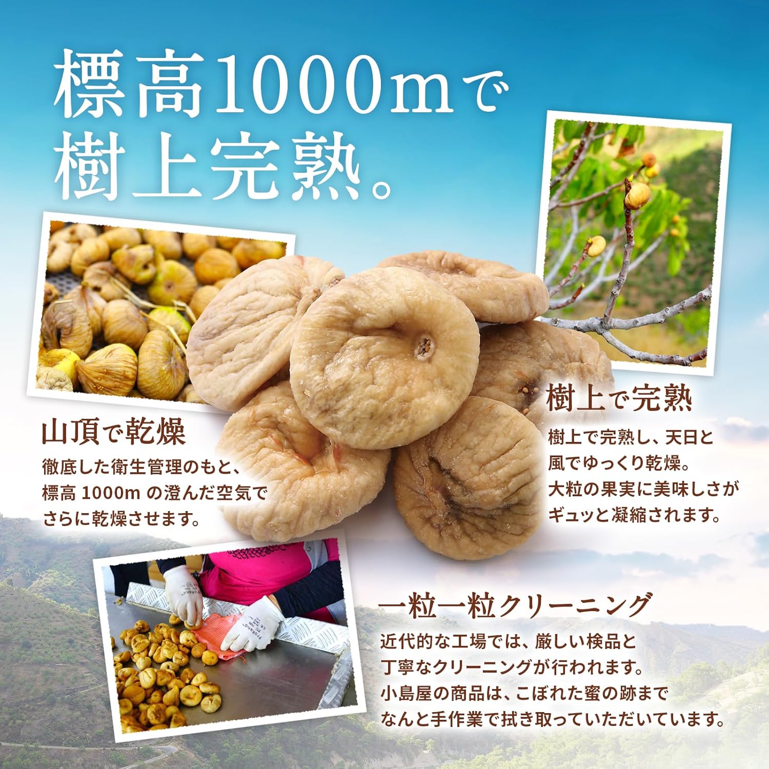 小島屋 ドライいちじく 780g
