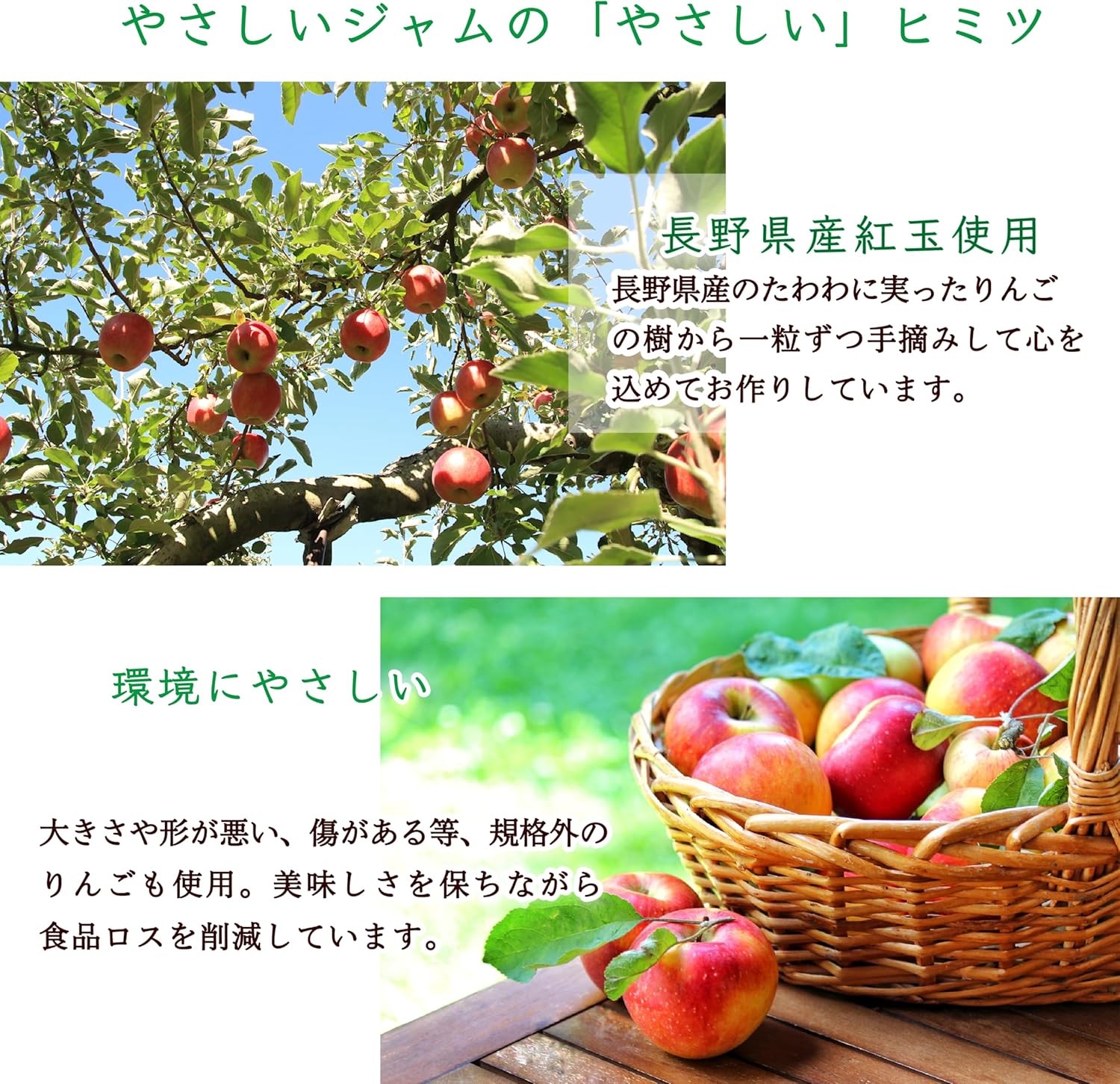 LF やさしいジャム 紅玉りんご 240g（砂糖不使用）