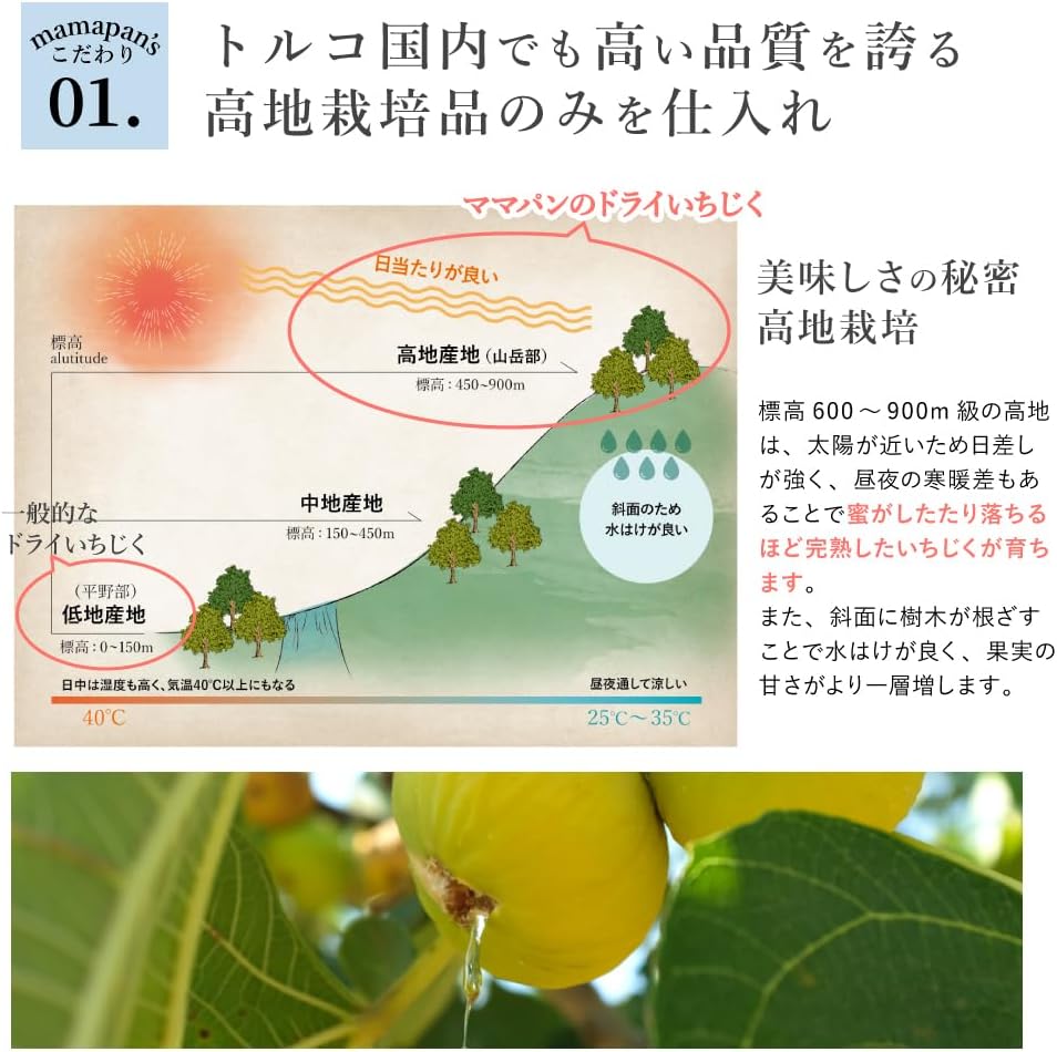 ママパン 有機ドライいちじく（白フィグ）1kg