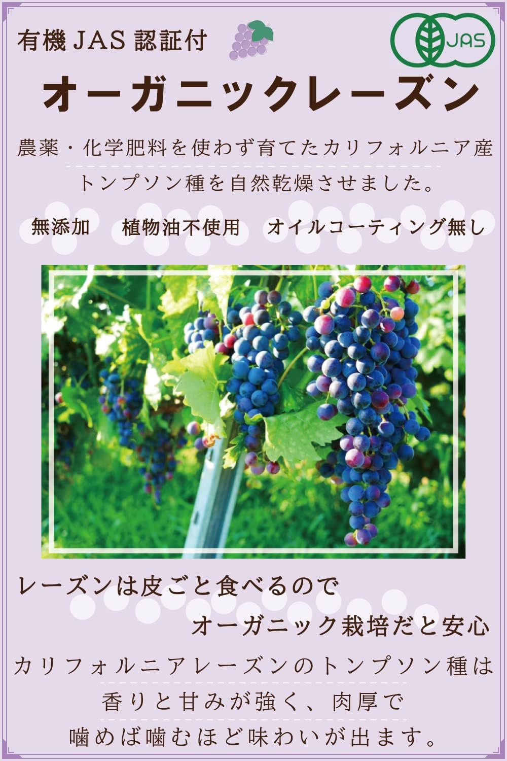 MYSiG オーガニックレーズン 500g