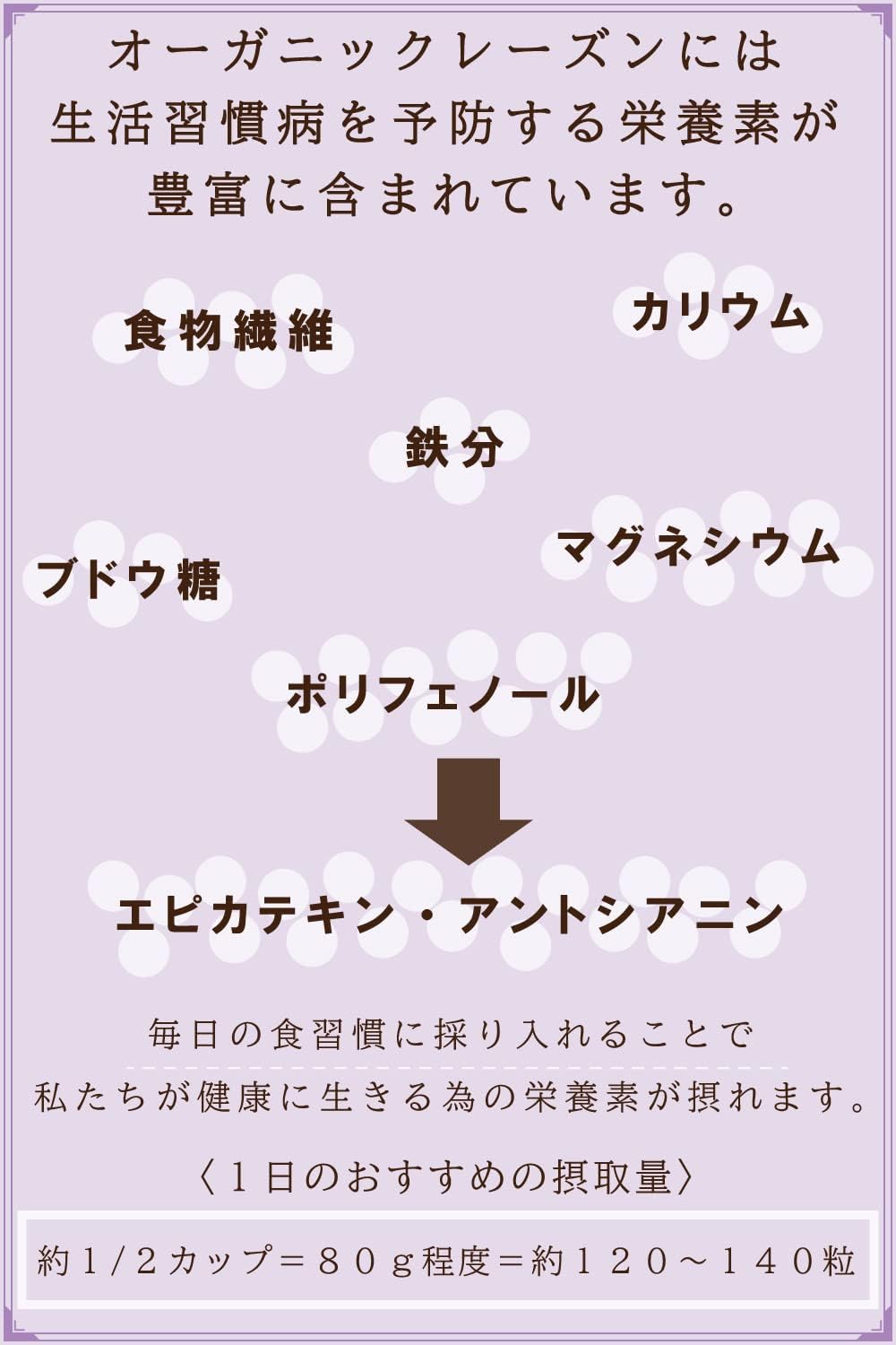 MYSiG オーガニックレーズン 500g