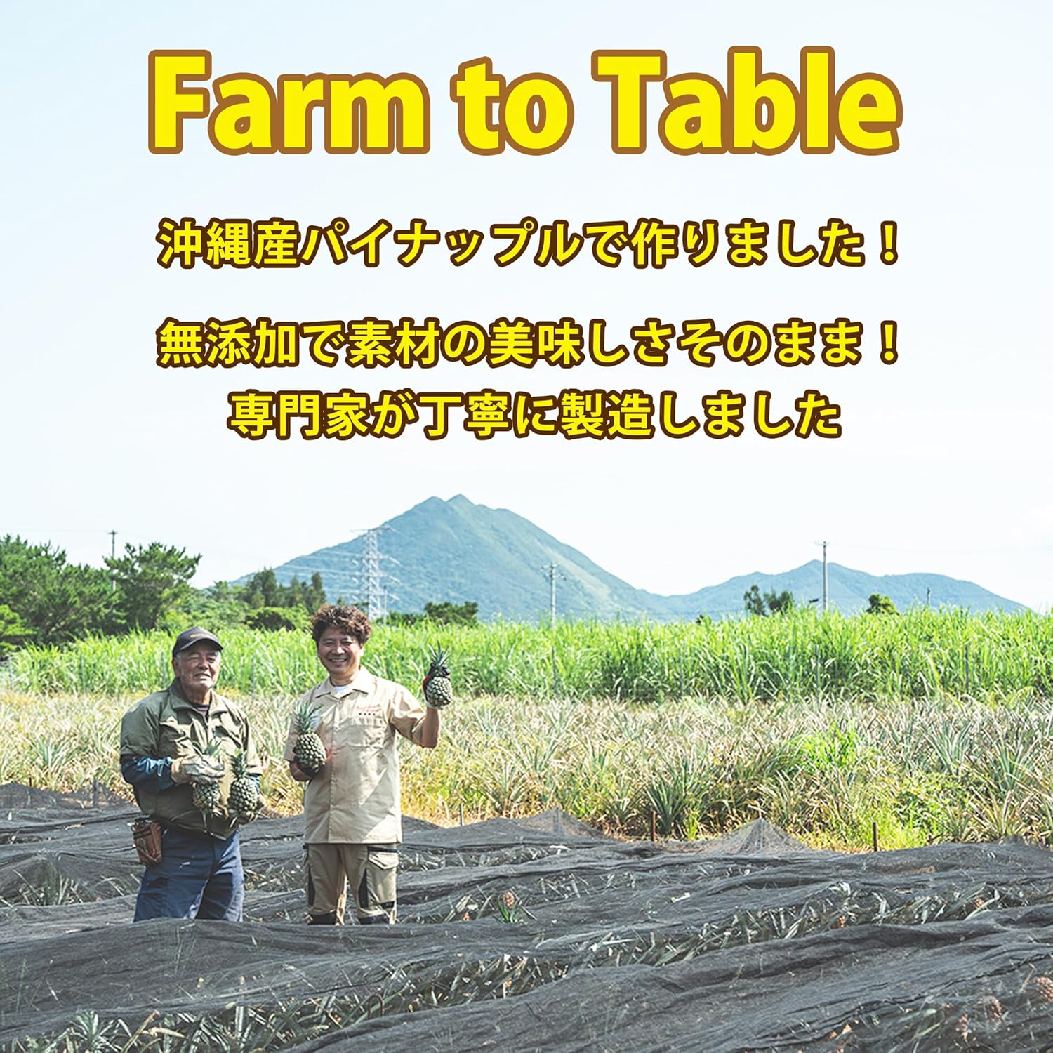 長浜商店 沖縄産パイナップルバター