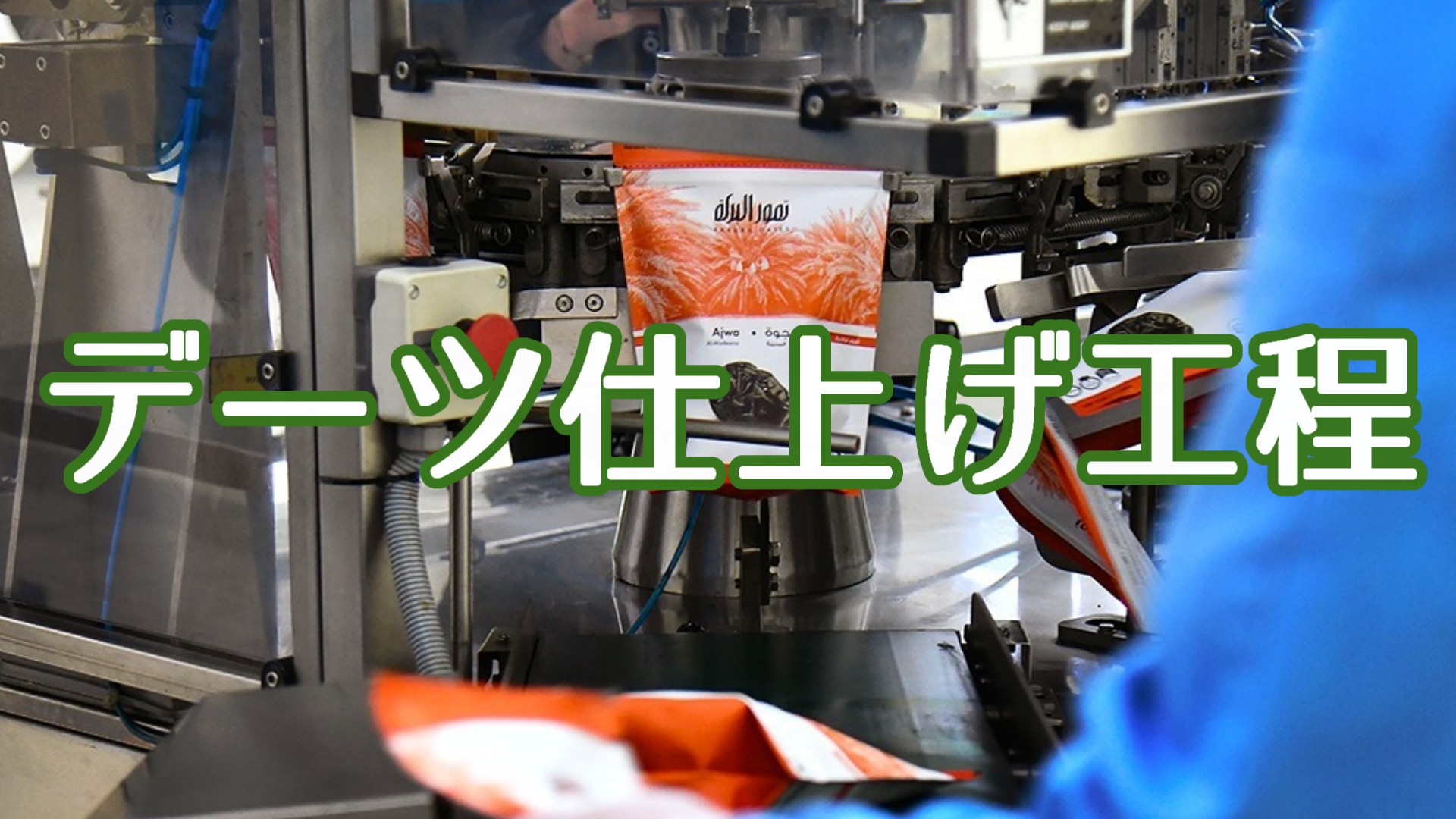 有機デーツ（なつめやし）200g