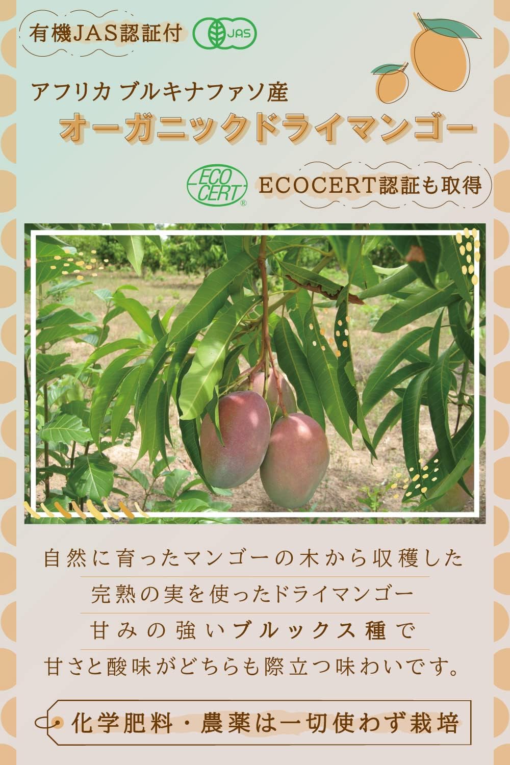オーガニックドライマンゴー 200g