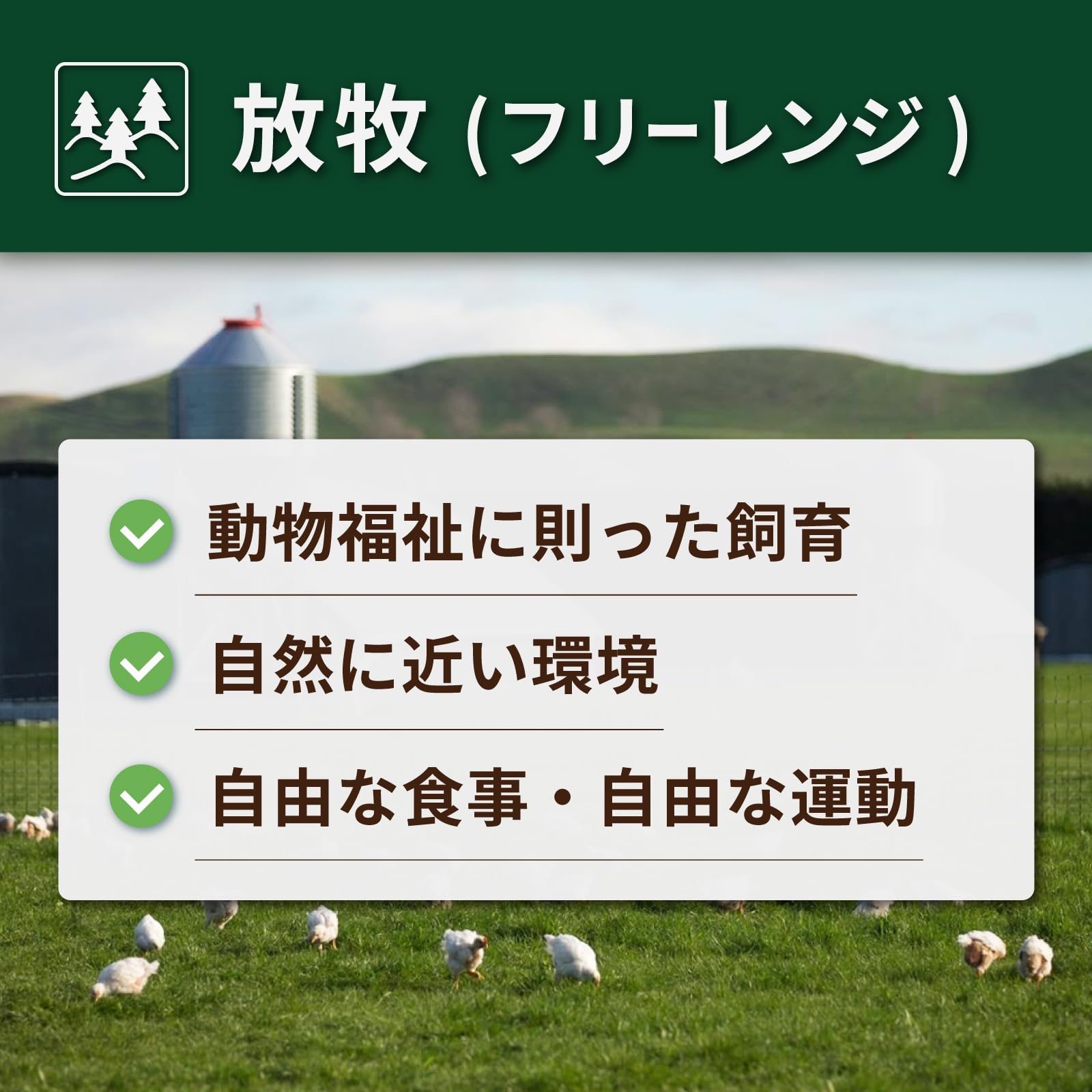 有機JASオーガニック 放牧チキンストックパウダー 160g