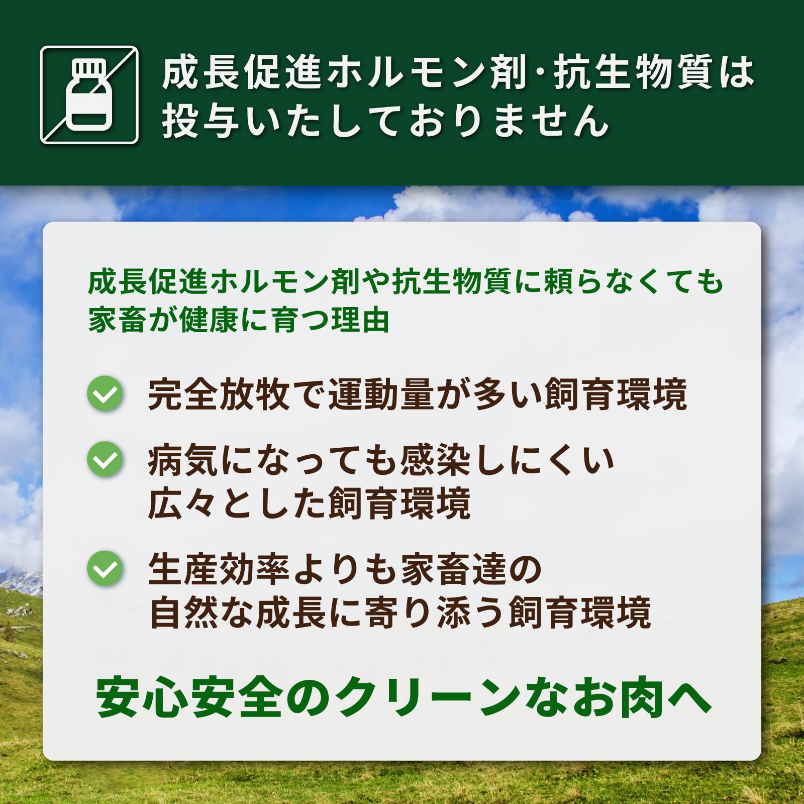 有機JASオーガニック 放牧チキンストックパウダー 160g