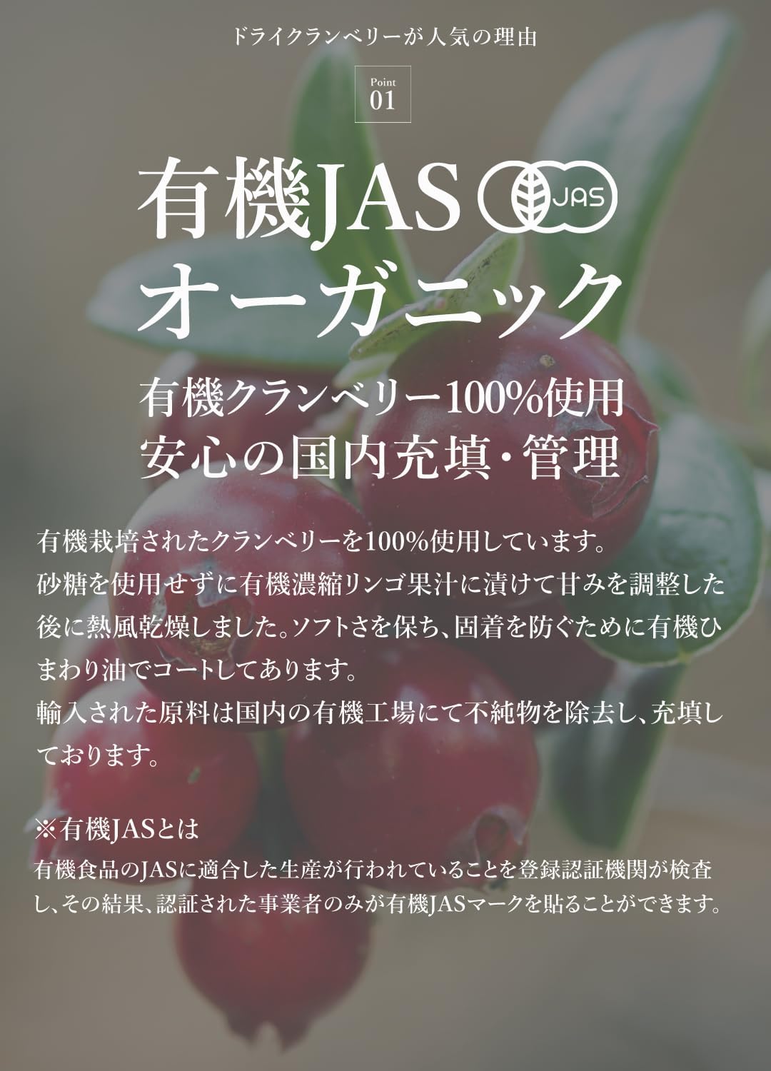 San'ta Rosa ドライクランベリー 100g