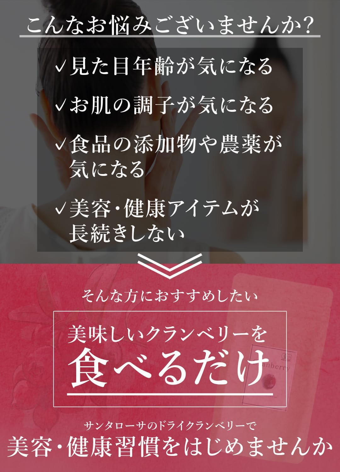 San'ta Rosa ドライクランベリー 100g
