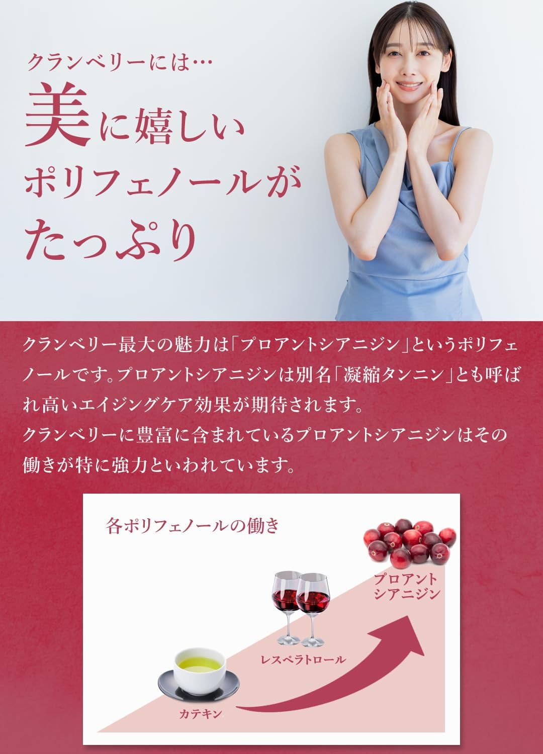 San'ta Rosa ドライクランベリー 100g