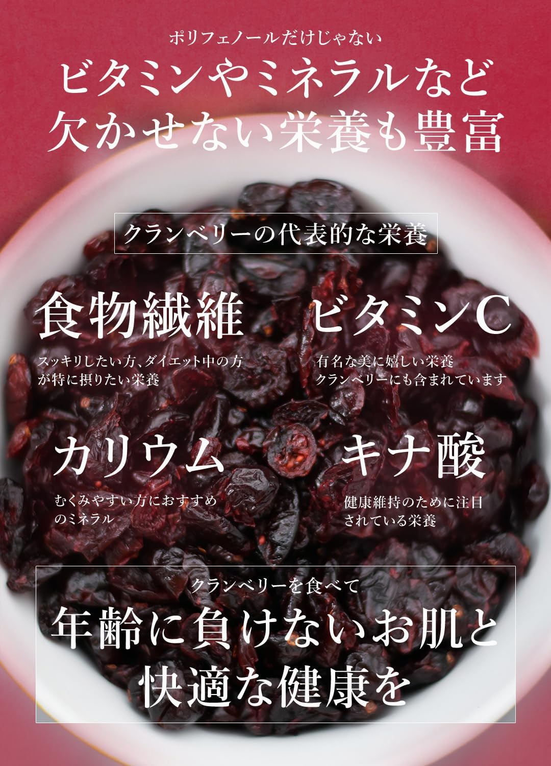 San'ta Rosa ドライクランベリー 100g