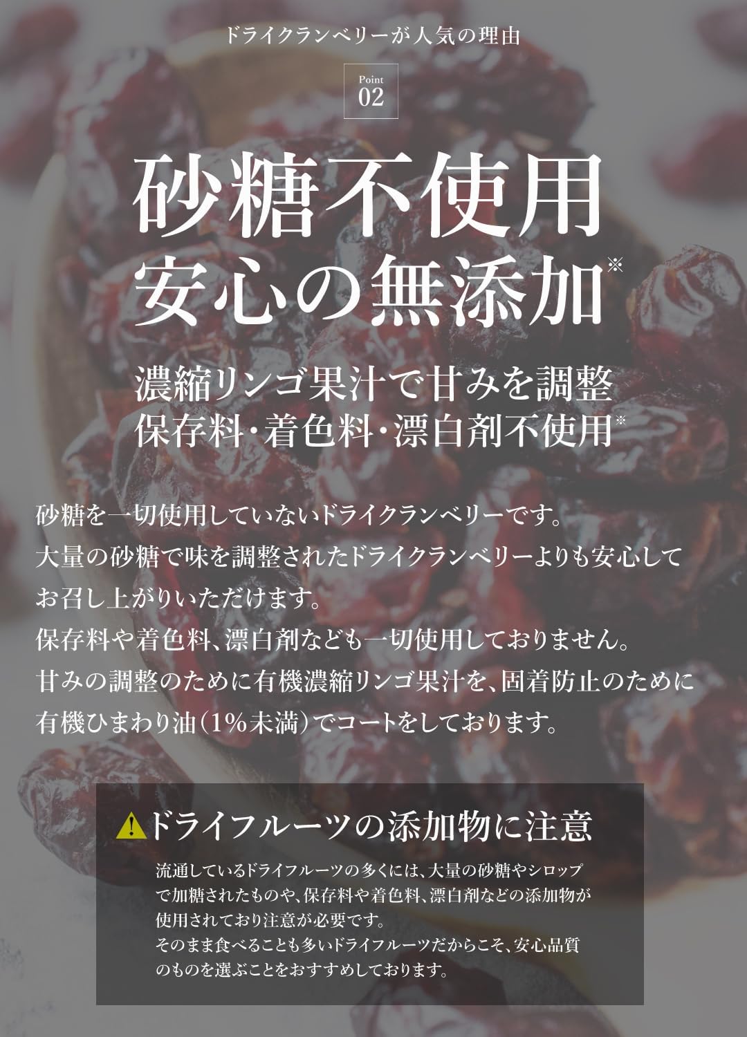 San'ta Rosa ドライクランベリー 100g